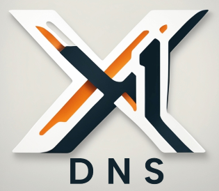 X1 DNS